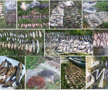 ������ ���� �� 89 000 ������� 